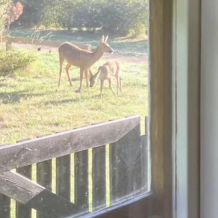 Hébergement de vacances Peace In 60s On Reerso Peninsula