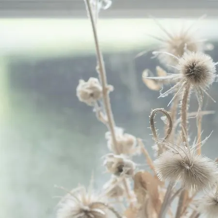 Peace In 60s On Reerso Peninsula Hébergement de vacances Gorlev